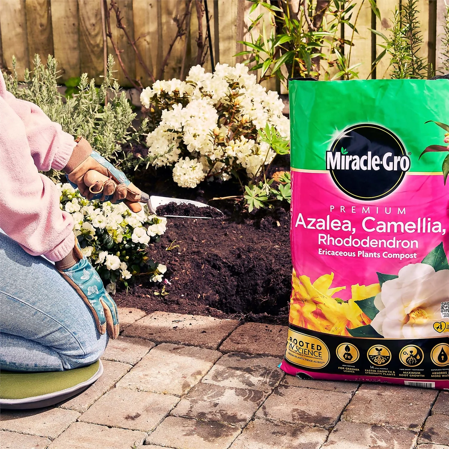 Miracle Gro Premium Azalea, Camellia & Rhododendron Ericaceous Compost - 40L Miracle Gro Premium Azalea, Camellia & Rhododendron Ericaceous Compost - 40L -Deals Furniture Store 12882812 1004843671886080