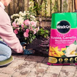 Miracle Gro Premium Azalea, Camellia & Rhododendron Ericaceous Compost - 40L 5 Miracle Gro Premium Azalea, Camellia & Rhododendron Ericaceous Compost - 40L -Deals Furniture Store 12882812 1404843671956442