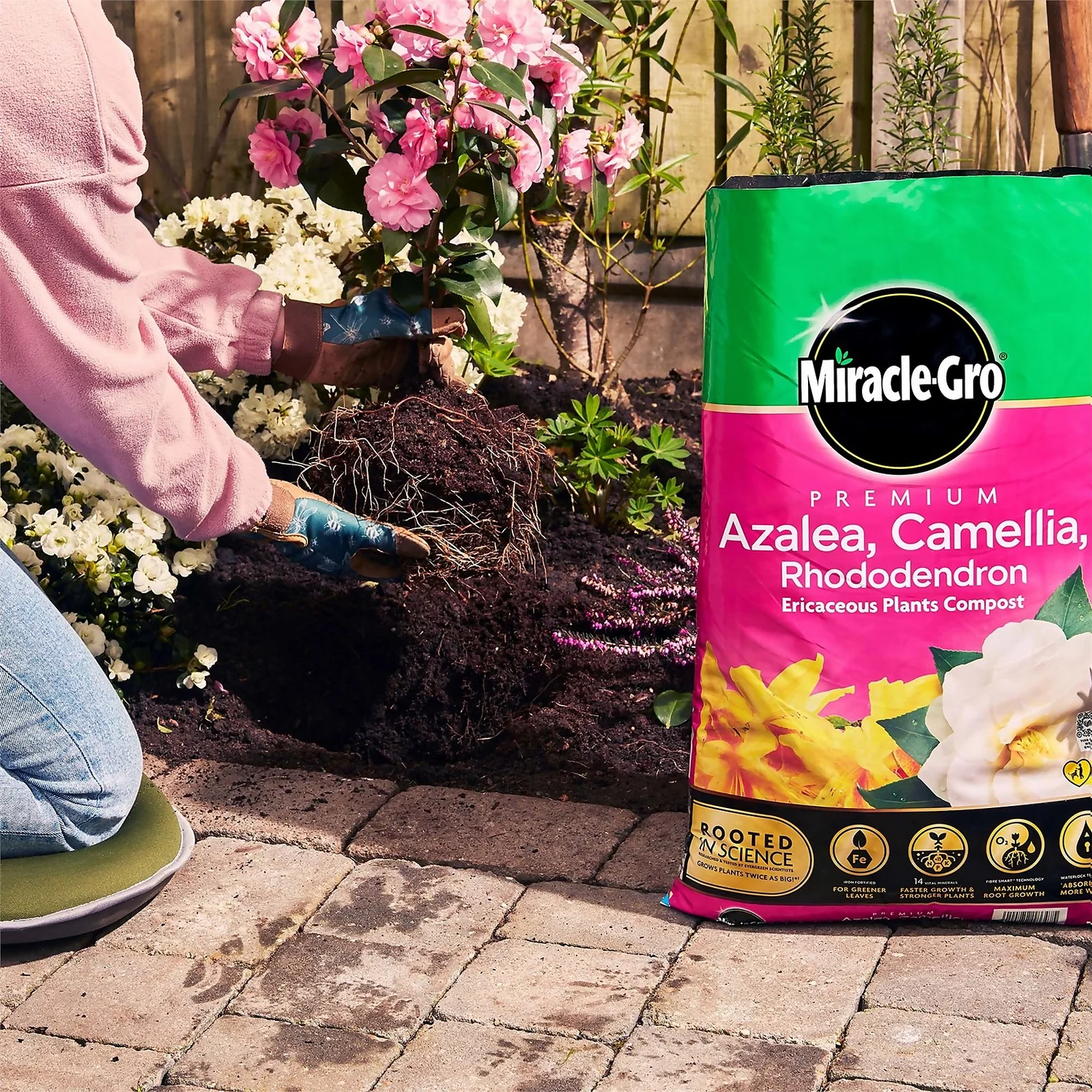 Miracle Gro Premium Azalea, Camellia & Rhododendron Ericaceous Compost - 40L Miracle Gro Premium Azalea, Camellia & Rhododendron Ericaceous Compost - 40L -Deals Furniture Store 12882812 1924843671918789