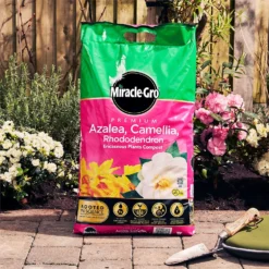 Miracle Gro Premium Azalea, Camellia & Rhododendron Ericaceous Compost - 40L 2 Miracle Gro Premium Azalea, Camellia & Rhododendron Ericaceous Compost - 40L -Deals Furniture Store 12882812 2144843671852924