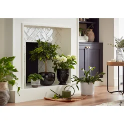 Regent Glazed Urn Planter - 21cm -Deals Furniture Store 12885371 1614948242968073