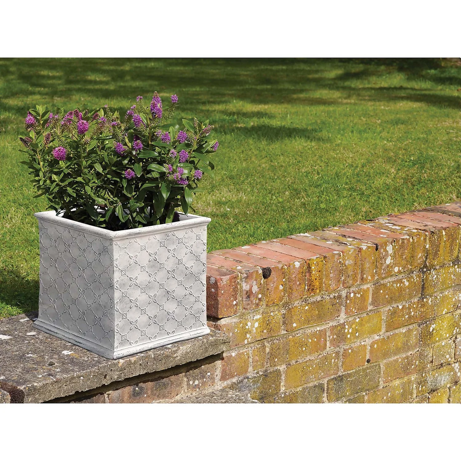 Mayfair Antique White Cube - 23cm Mayfair Antique White Cube - 23cm -Deals Furniture Store 12940005 1214856476799928