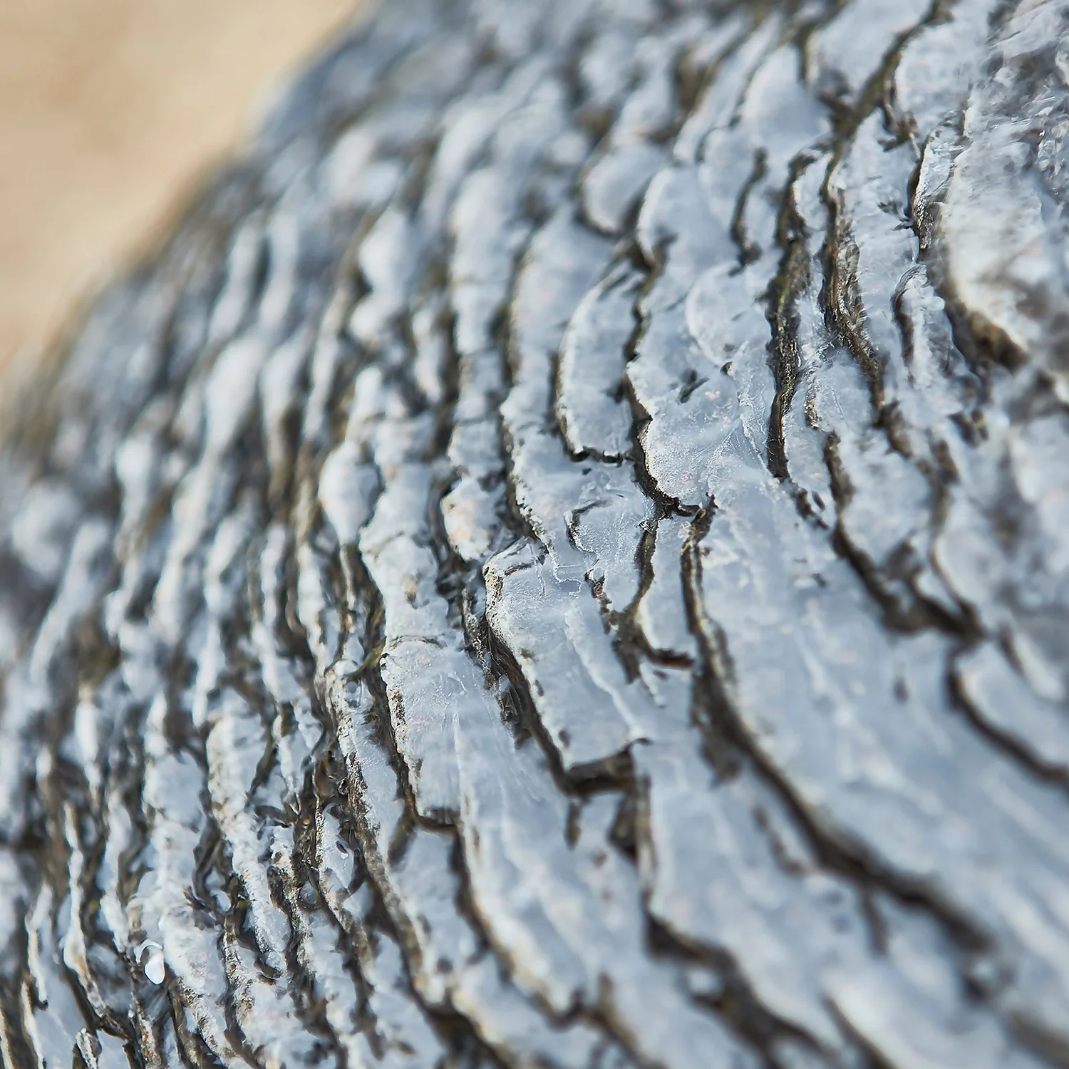 Stylish Fountains Mysterious Moon Water Feature Stylish Fountains Mysterious Moon Water Feature -Deals Furniture Store 13452063 1494930130292138