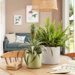 Scheurich Ripple White Indoor Pot - 20cm -Deals Furniture Store 13953260 1154987120198644