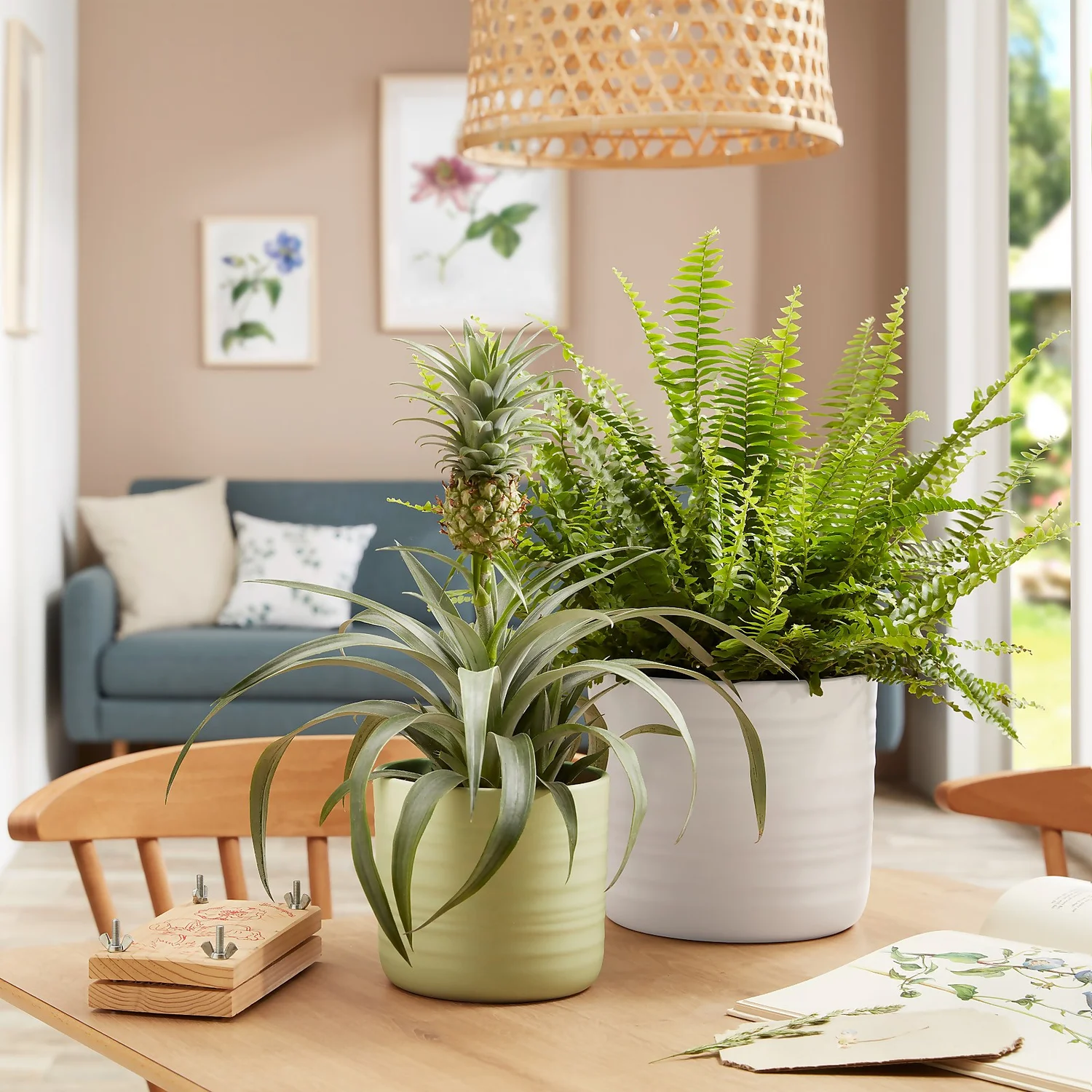 Scheurich Ripple Soft Green Indoor Pot - 17cm Scheurich Ripple Soft Green Indoor Pot - 17cm -Deals Furniture Store 13953266 2044987119911088