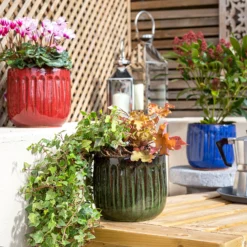 Chiswick Running Pot Blue - 24cm -Deals Furniture Store 13973640 1635011238706765