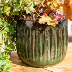 Chiswick Running Pot Green - 30cm 3 Chiswick Running Pot Green - 30cm -Deals Furniture Store 13973644 1165011242627159