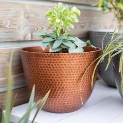 Suva Hammered Pot Copper - 31cm 2 Suva Hammered Pot Copper - 31cm -Deals Furniture Store 13973652 1715011805989134