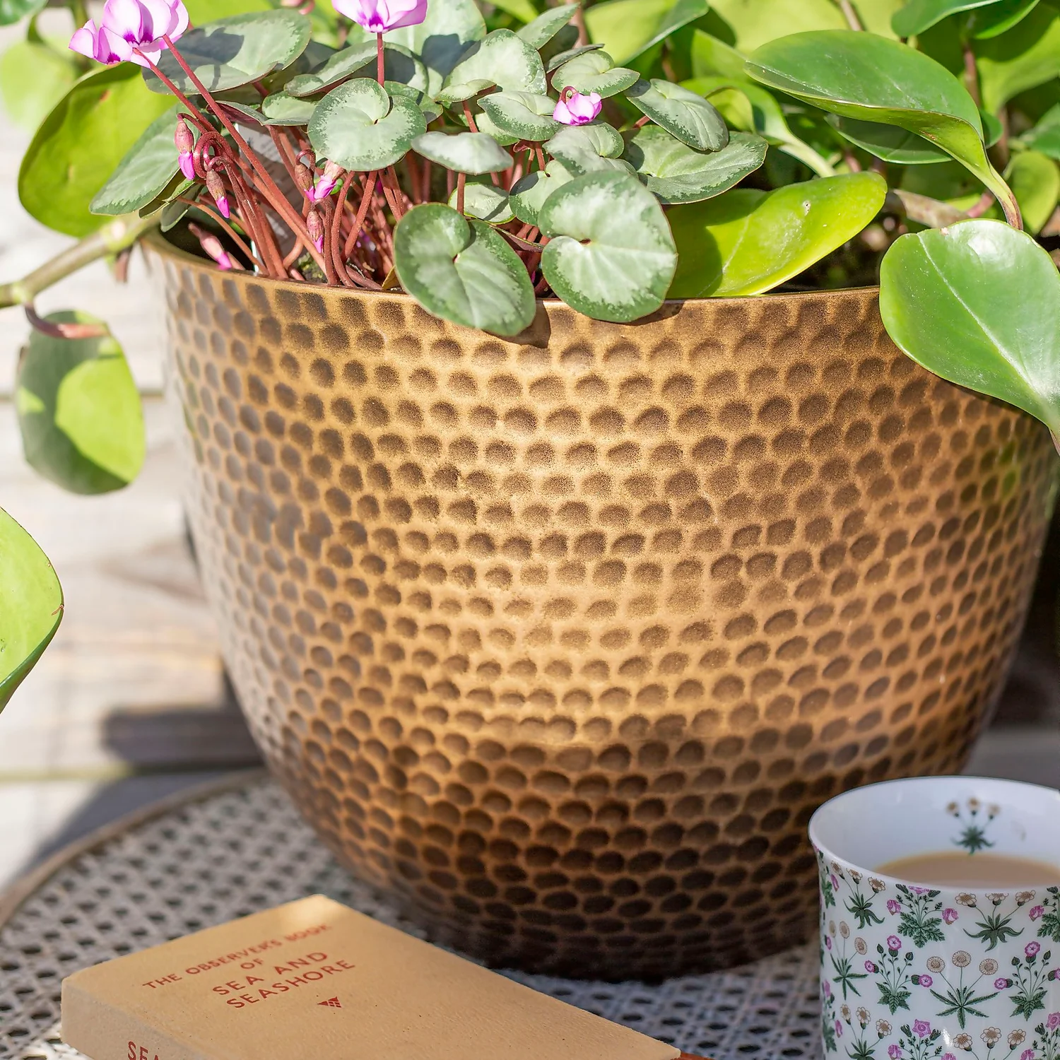 Suva Hammered Pot Bronze - 31cm Suva Hammered Pot Bronze - 31cm -Deals Furniture Store 13973654 7605011805627355