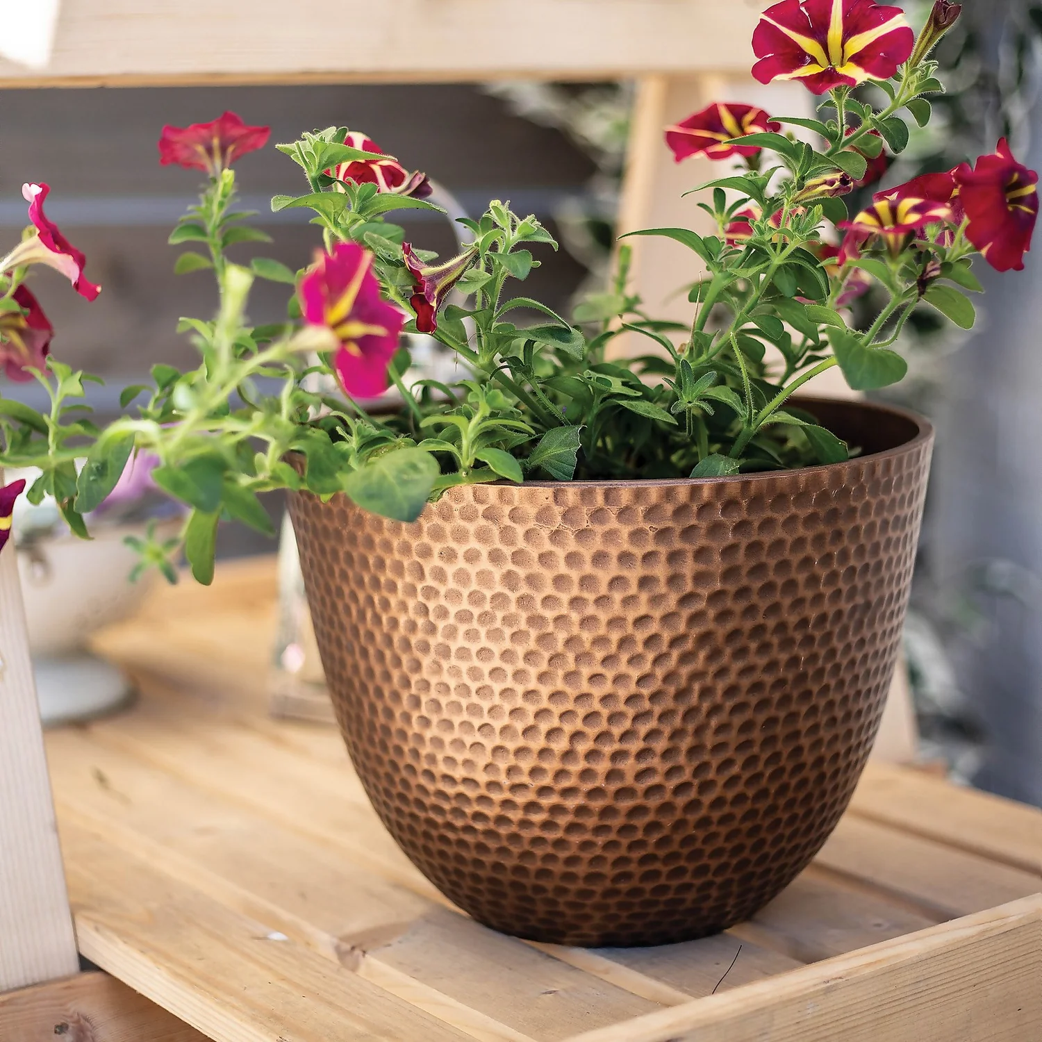 Suva Hammered Pot Bronze - 38cm Suva Hammered Pot Bronze - 38cm -Deals Furniture Store 13973655 1115011805774286