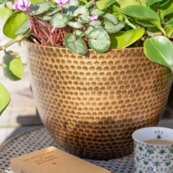 Suva Hammered Pot Bronze - 38cm 2 Suva Hammered Pot Bronze - 38cm -Deals Furniture Store 13973655 9525011805626407